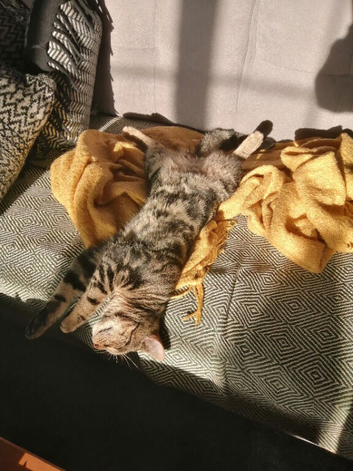 Marvel with spots