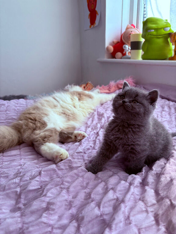 Two beautiful girls available xx