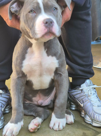 Rocky