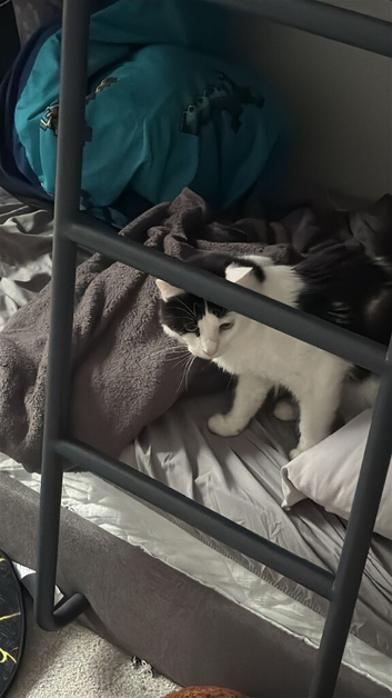Beautiful brother and sister