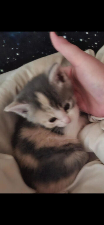 Beautiful little girl!