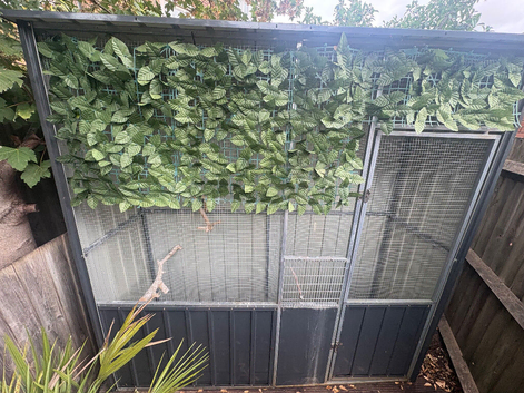 Avairy for sell