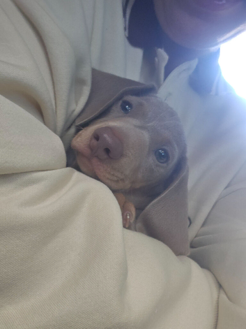 For sale