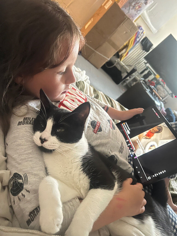 Rehoming my kitten