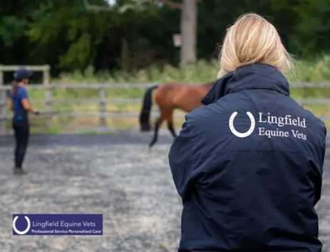Equine Healthcare Surrey - Lingfield Equine Vets