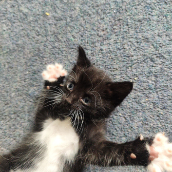 Beautiful little boy