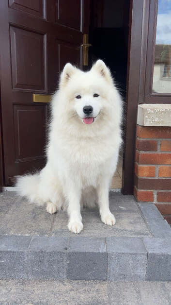 My beautiful girl is expecting ( Northern Ireland )