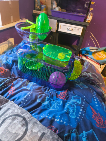 Critter care and critter trail accessories