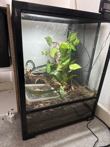 crested gecko cage for sale