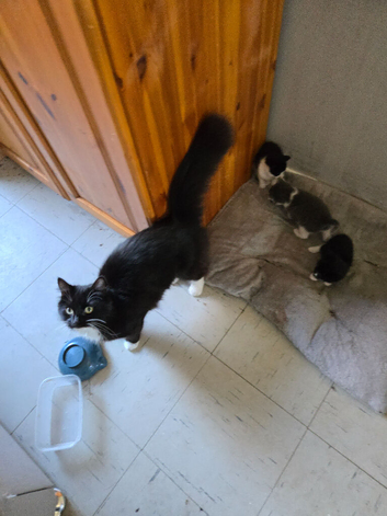 Last little girl left black with a bit of white