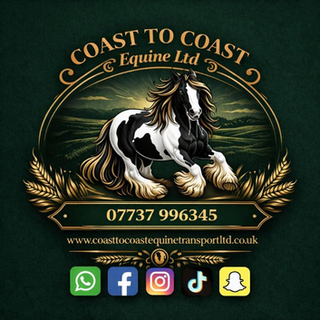 Experienced Horse Transport