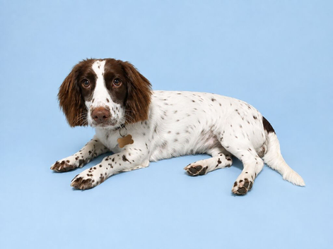 Female 11 months old
