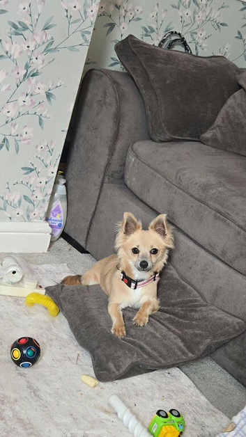 7 months old
