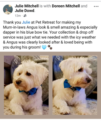 Dog Grooming
