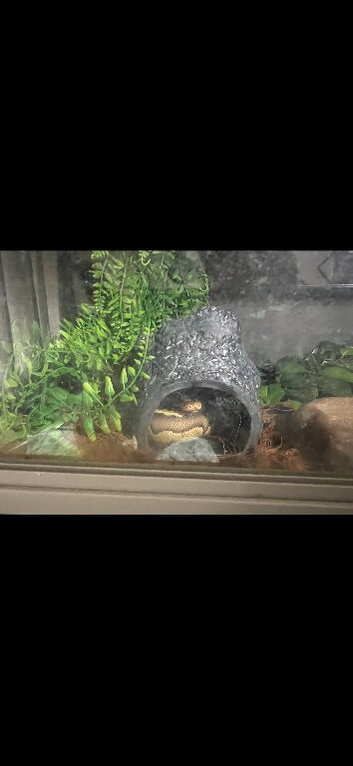 2 Python and set up