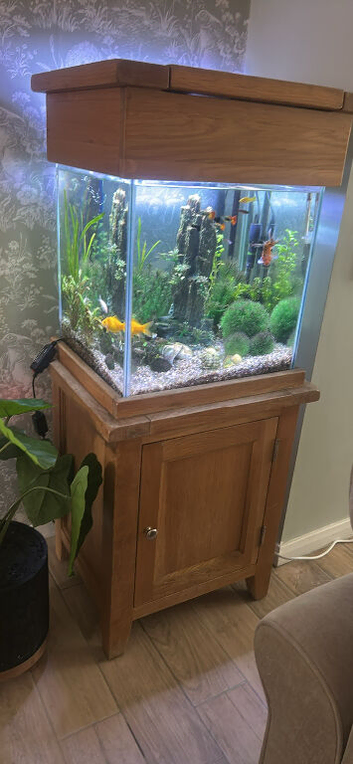 Oak cabinet tank