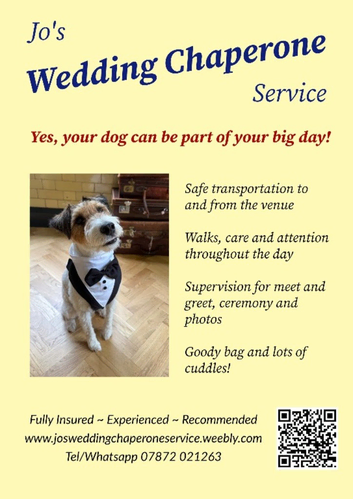 Wedding Chaperone