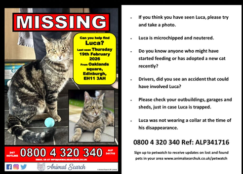 Luca missing from broomhouse edinburgh