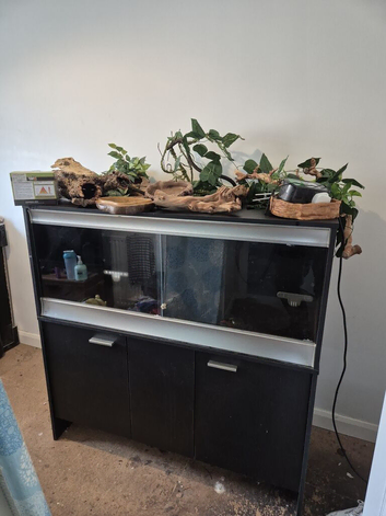4ft Vivarium