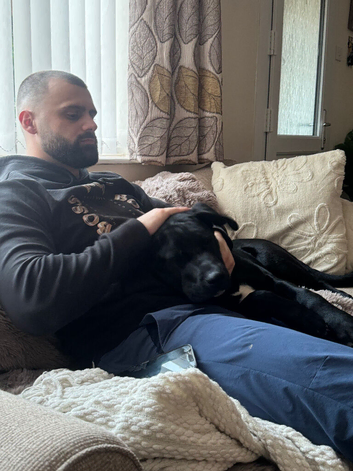 Cane corso x Akita