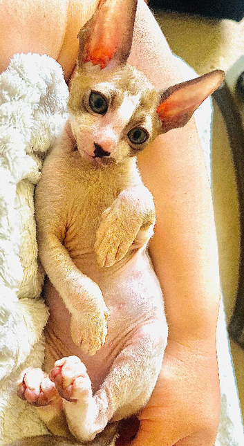 New family member waiting for you