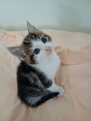 Tabbie cute girl ready now Bradford.