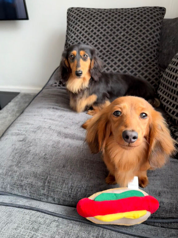 Flossie (3) and Poppy (11 months)