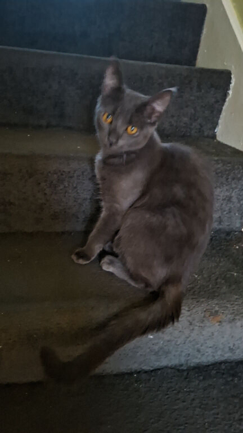 5 months old girl