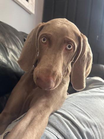 7 month old