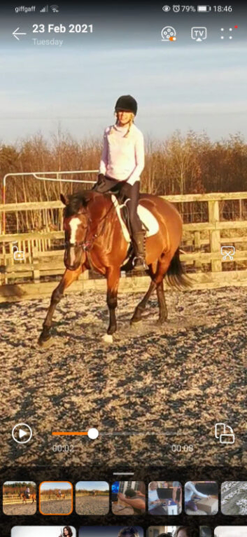 Horse share wanted, Dunmow,  Essex