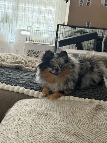 Unique and stunning girl looking for new home