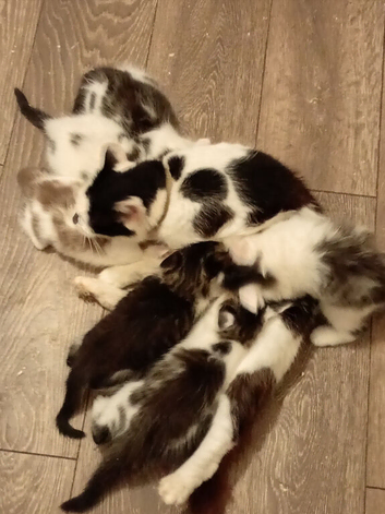 3 cute boys and 3 cute girls