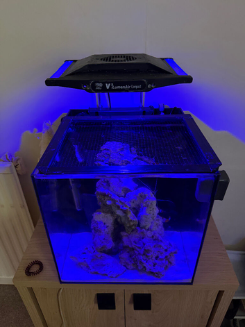 marine aquarium and fishes
