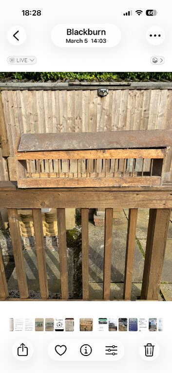 Large pigeon feeder