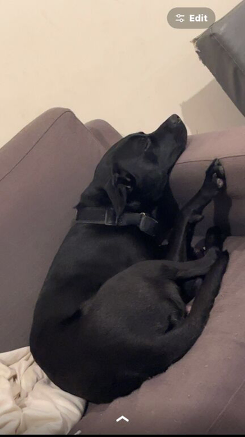 Desperado (Dez)