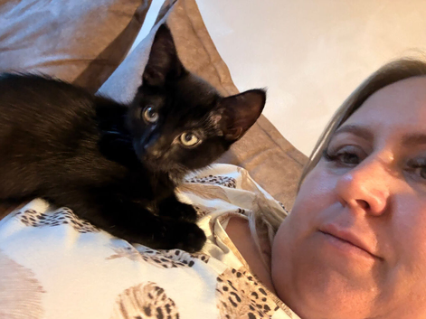 Kittens ready for forever home
