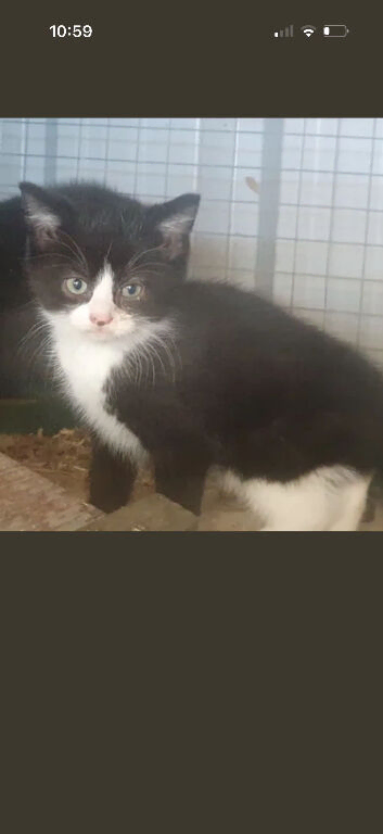 Milo