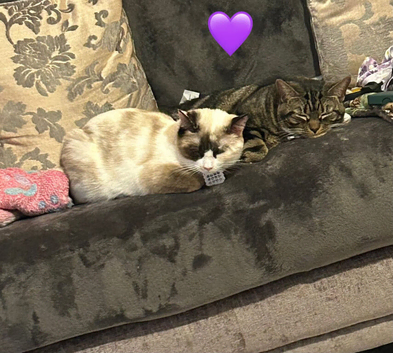 Goldie & Gwen
