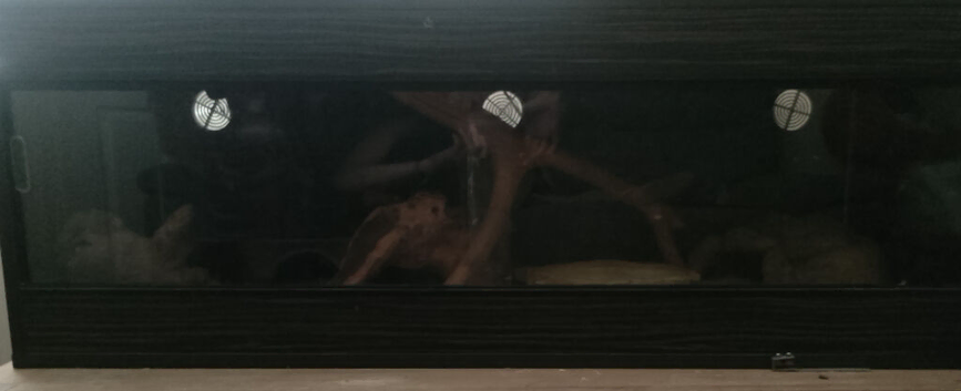 Black Wooden 4ft by 2ft vivarium