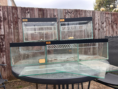 5 x Glass tanks