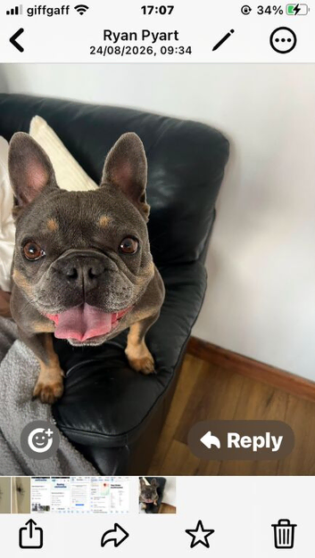 No fault of her own milly is looking for a new home 5* only