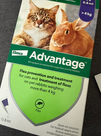 Advantage Flea Treatment