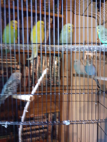 For sale