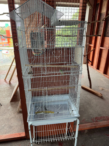 Small Parrot Cage for Sale