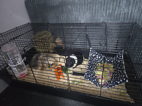 two males