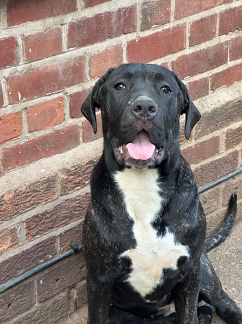 6 month old girlie!