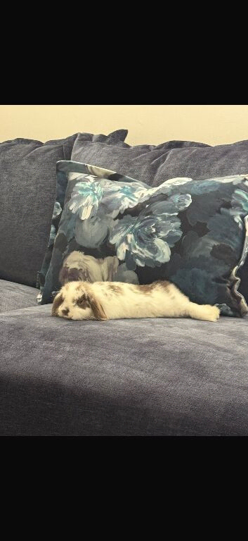 4/5 month old girl