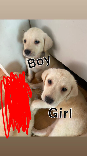 1 girl 1 boy left