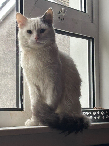 Beautiful boy