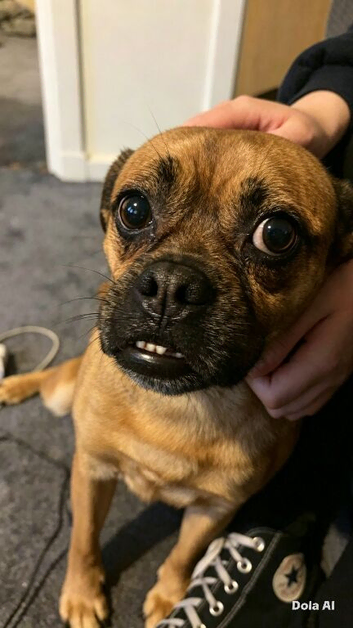 BRUTUS